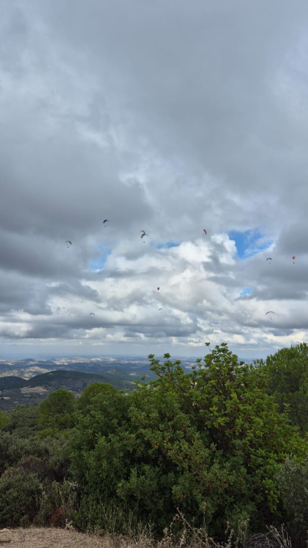 Algodonales Paragliding - Thermik