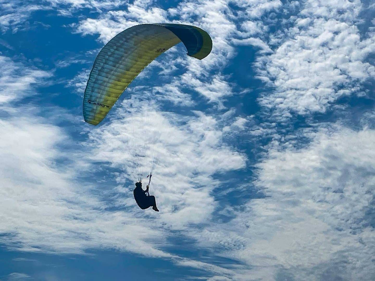 Gelbgrüner Gleitschirm von unten vor blauem Himmel mit Schäfchenwolken