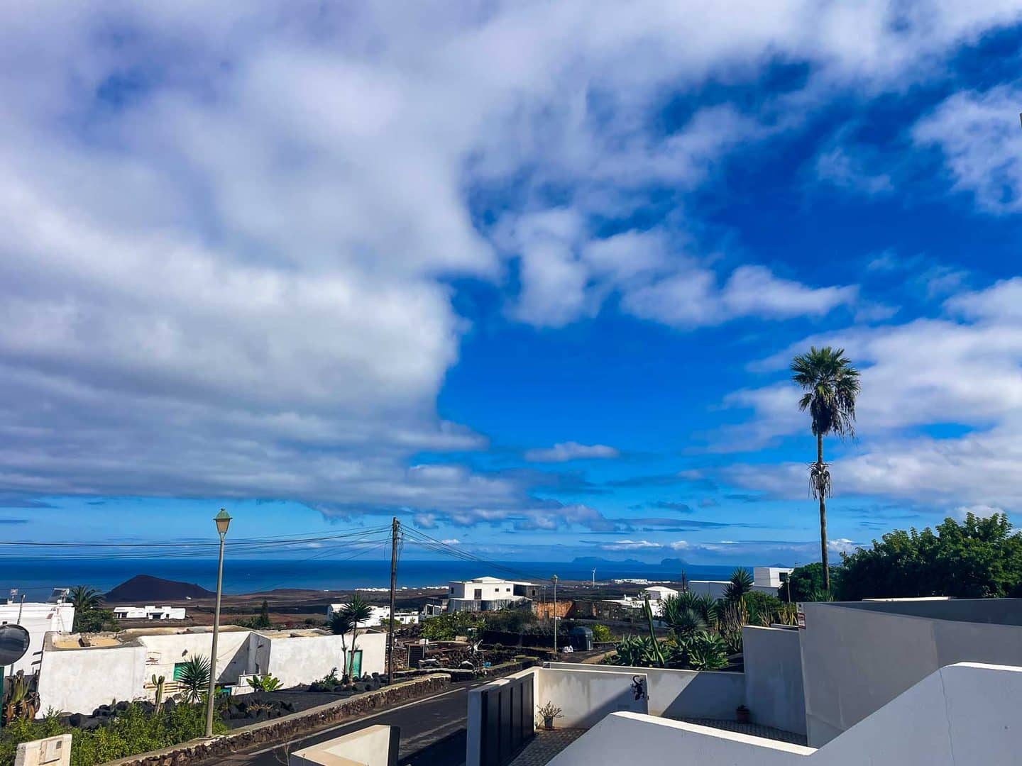 Blick von der Dachterrasse über weiße Häuser und Palme auf Lanzarote zum Meer und Vulkankegel