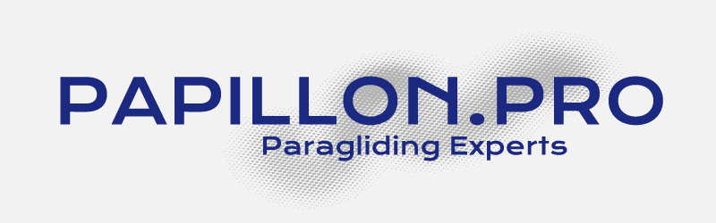 PAPILLON.PRO Logo